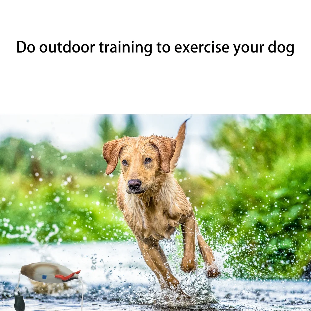 Ultra-Realistic Duck Bumper Toy – Durable Floating Mallard Dummy for Hunting Dog Retrieval Training