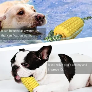 Dog Toothbrush Chew Toy – Interactive Dental Chew