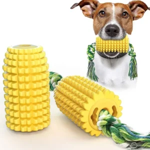 Dog Toothbrush Chew Toy – Interactive Dental Chew